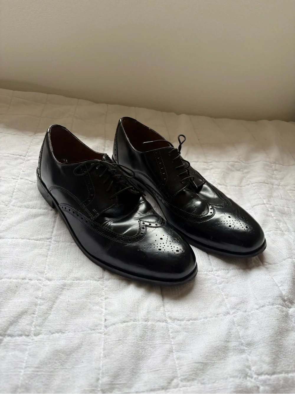 Florsheim Brookside Classic Men's Black Leather Wingtip Oxfords 13